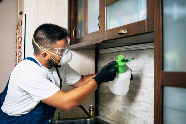 Best Cockroach Control Services  in Hubbard, OR