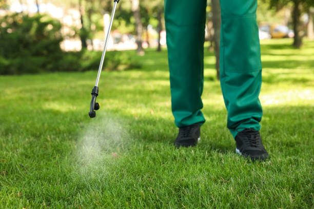 Best Pest Control for Businesses  in Hubbard, OR