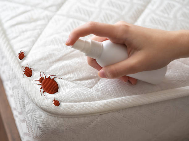 Best Pest Prevention Services  in Hubbard, OR