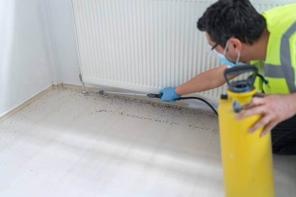 Best Affordable Pest Control Services  in Hubbard, OR