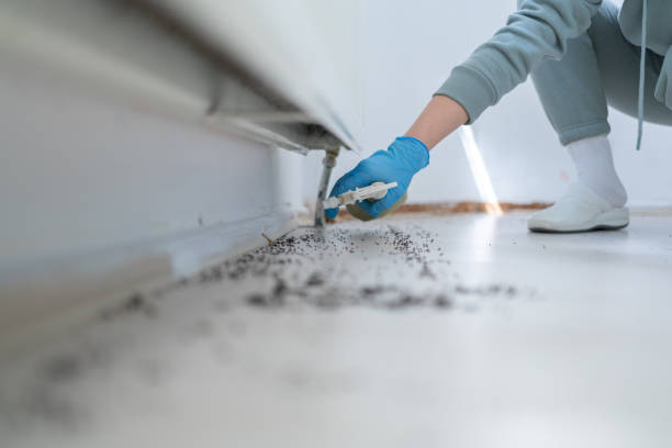 Best Pest Prevention Services  in Hubbard, OR